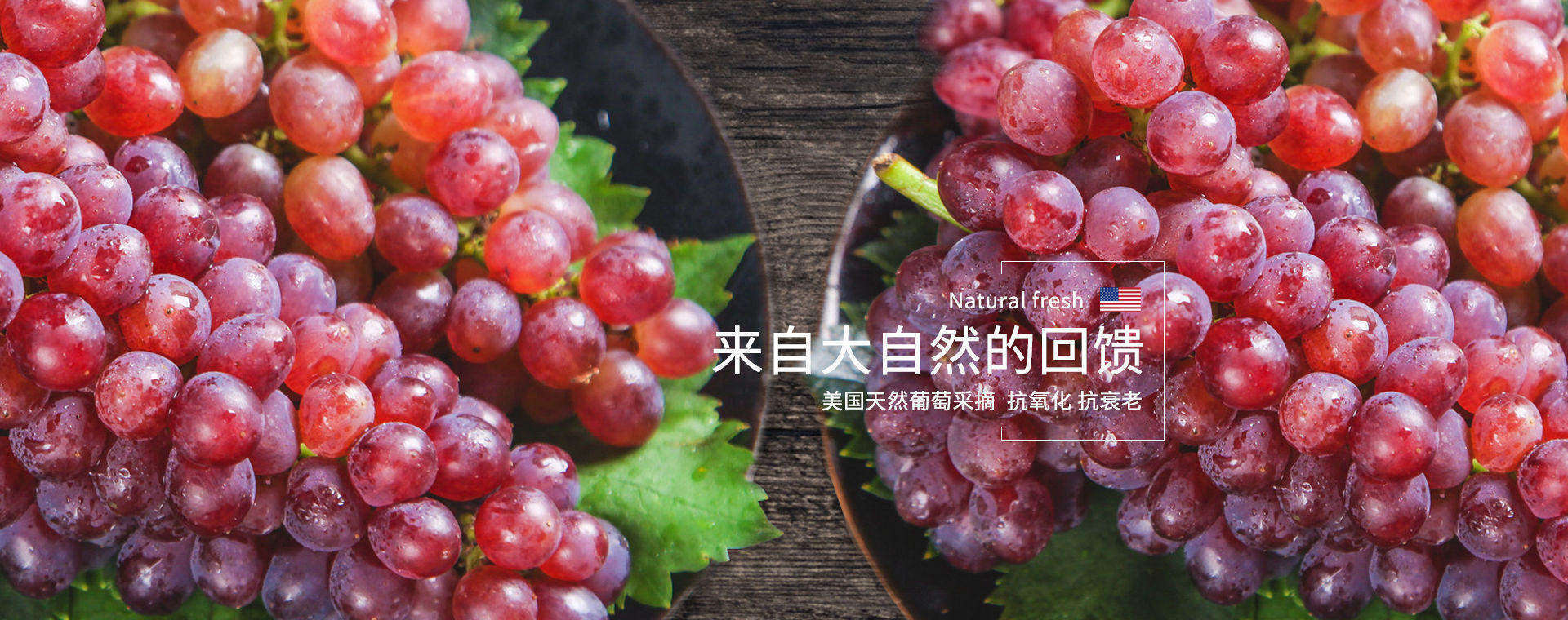 葡萄藍莓復(fù)合粉